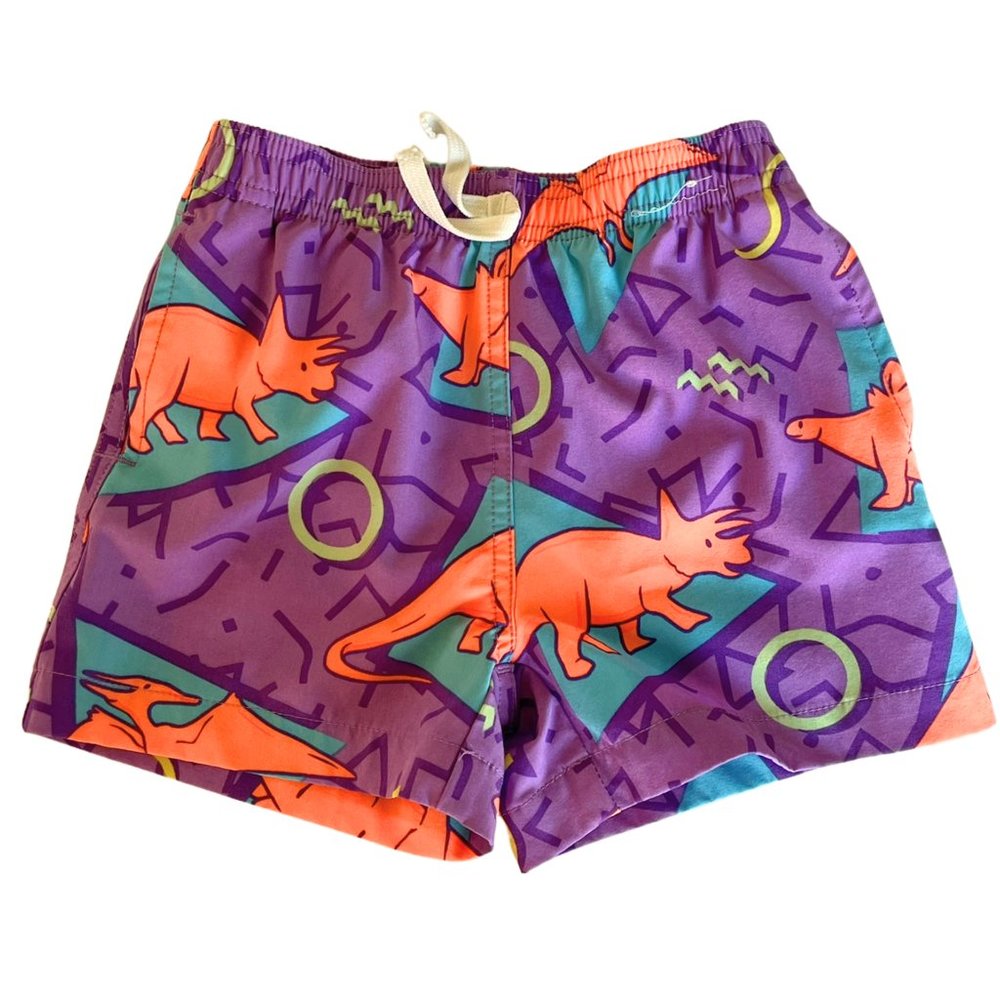 Chubbies Purple and Orange Dinosaur Kids Swim Trunks